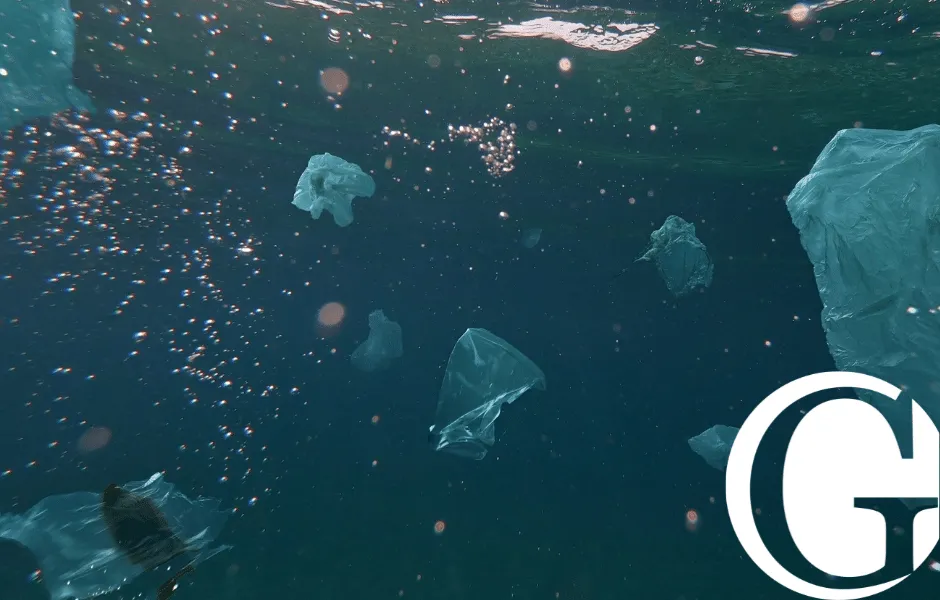 Camp Lejeune Lawsuit Ohio Lawyers-image