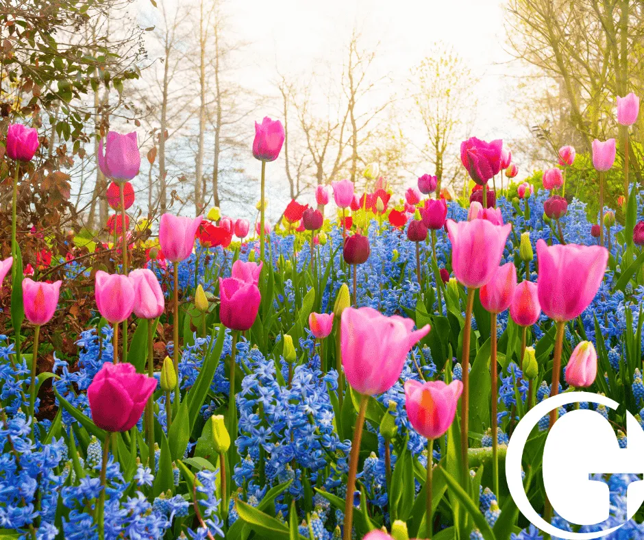 Toledo Wrongful Death Attorney-image